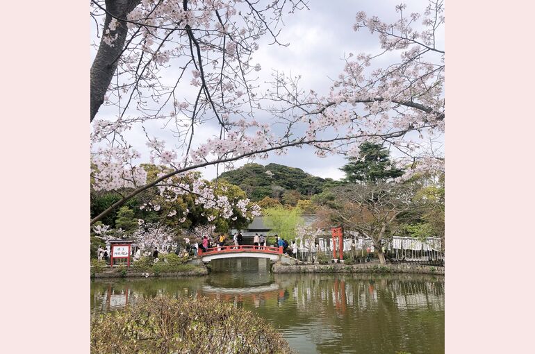 鎌倉八幡宮
