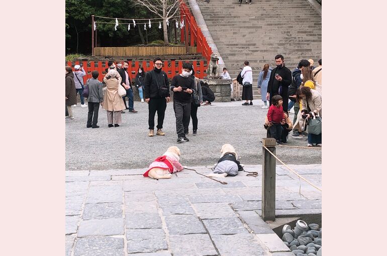 鎌倉八幡宮