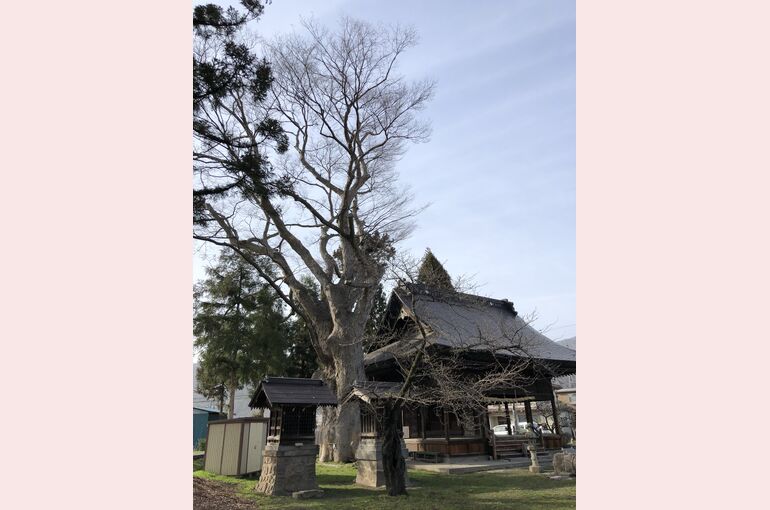 地元の氏神様