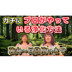 浄化の仕方